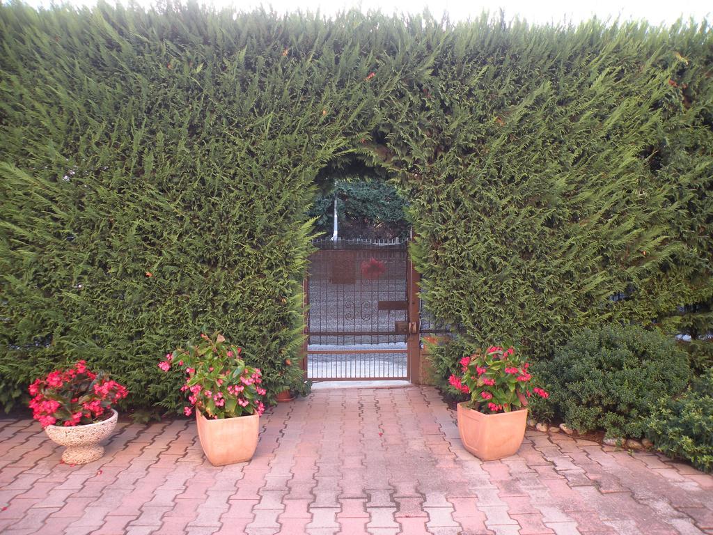 Casa Oriana Βίλα Rosolina Εξωτερικό φωτογραφία